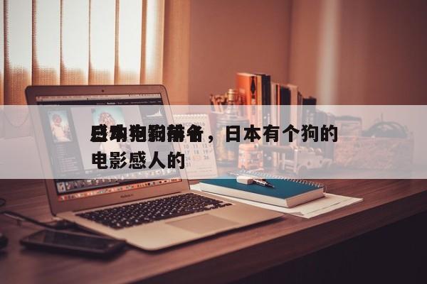 日本狗狗前十
感动电影排名，日本有个狗的电影感人的-第1张图片