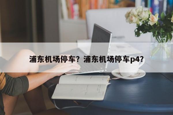 浦东机场停车？浦东机场停车p4？-第1张图片