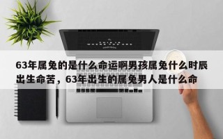 63年属兔的是什么命运啊男孩属兔什么时辰出生命苦，63年出生的属兔男人是什么命