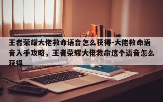 王者荣耀大佬救命语音怎么获得-大佬救命语音入手攻略，王者荣耀大佬救命这个语音怎么获得