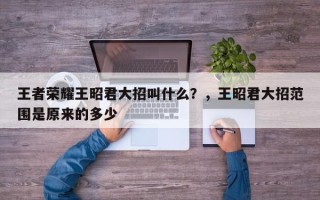王者荣耀王昭君大招叫什么？，王昭君大招范围是原来的多少