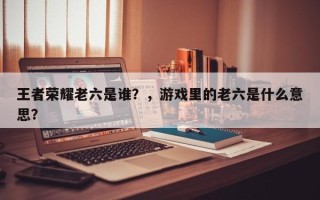 王者荣耀老六是谁？，游戏里的老六是什么意思？