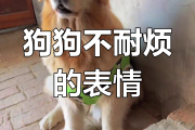 远大前程十三太保口诀｜远大前程十三太保口诀结局，远大前程十三太保口诀结局