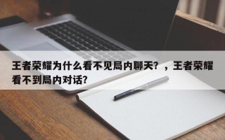 王者荣耀为什么看不见局内聊天？，王者荣耀看不到局内对话？