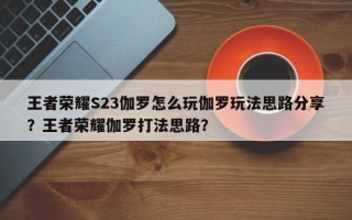 王者荣耀S23伽罗怎么玩伽罗玩法思路分享？王者荣耀伽罗打法思路？