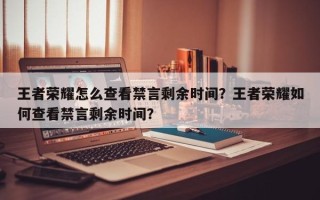 王者荣耀怎么查看禁言剩余时间？王者荣耀如何查看禁言剩余时间？