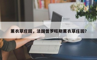 薰衣草庄园，法国普罗旺斯薰衣草庄园？