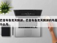 巴音布鲁克天鹅湖，巴音布鲁克天鹅湖的鸟是什么鸟