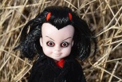 茅山捉鬼人，茅山捉鬼人叶少阳免费阅读