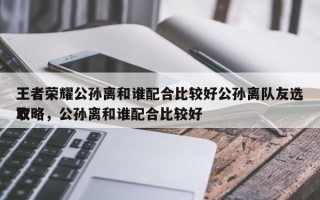 王者荣耀公孙离和谁配合比较好公孙离队友选取
攻略，公孙离和谁配合比较好
？