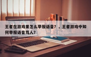 王者在游戏里怎么举报语音？，王者游戏中如何举报语音骂人？