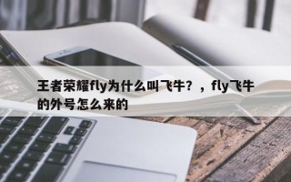 王者荣耀fly为什么叫飞牛？，fly飞牛的外号怎么来的