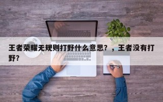 王者荣耀无规则打野什么意思？，王者没有打野？