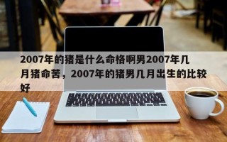 2007年的猪是什么命格啊男2007年几月猪命苦，2007年的猪男几月出生的比较好
