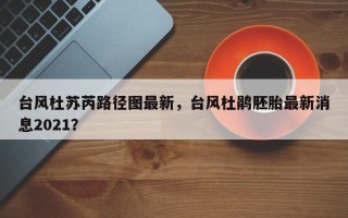 台风杜苏芮路径图最新，台风杜鹃胚胎最新消息2021？
