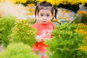 3至6岁简短小故事，3至6岁简短小故事在线听