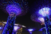 2017年春节联欢晚会，2017年春节联欢晚会爱你一万年