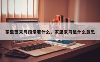 家里面来鸟预示着什么，家里来鸟是什么意思