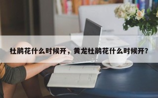 杜鹃花什么时候开，黄龙杜鹃花什么时候开？