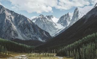 新进职员国语版电视剧，新进职员国语版电视剧免费播放