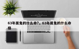 63年属兔的什么命?，63年属兔的什么命格