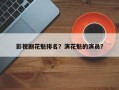 影视剧花魁排名？演花魁的演员？
