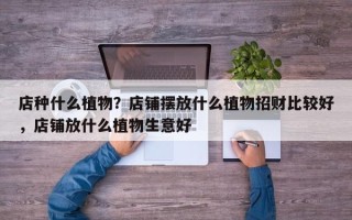 店种什么植物？店铺摆放什么植物招财比较好
，店铺放什么植物生意好