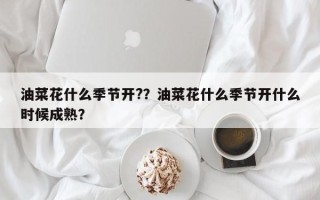 油菜花什么季节开?？油菜花什么季节开什么时候成熟？