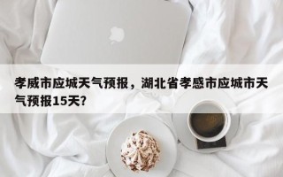 孝威市应城天气预报，湖北省孝感市应城市天气预报15天？