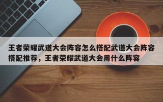 王者荣耀武道大会阵容怎么搭配武道大会阵容搭配推荐，王者荣耀武道大会用什么阵容