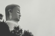 加勒比海盗6杰克换人｜加勒比海盗6杰克换人是真是假，加勒比海盗6杰克换人是真是假？