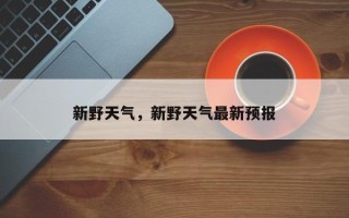 新野天气，新野天气最新预报