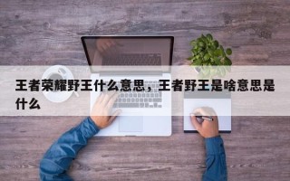 王者荣耀野王什么意思，王者野王是啥意思是什么