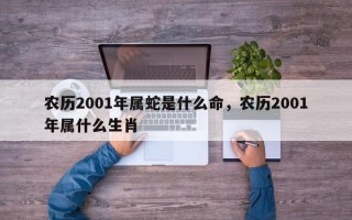 农历2001年属蛇是什么命，农历2001年属什么生肖
