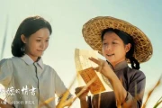 给阿嬷的情书票房多少[主要故事情节]