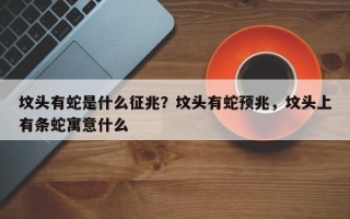 坟头有蛇是什么征兆？坟头有蛇预兆，坟头上有条蛇寓意什么