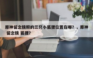 原神留念镜照的三只小狐狸位置在哪？，原神 留念镜 狐狸？