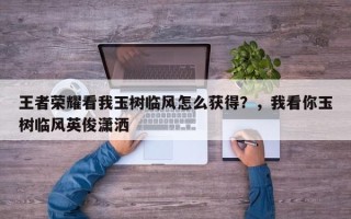 王者荣耀看我玉树临风怎么获得？，我看你玉树临风英俊潇洒