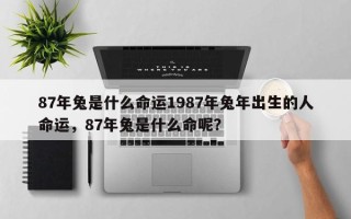 87年兔是什么命运1987年兔年出生的人命运，87年兔是什么命呢？