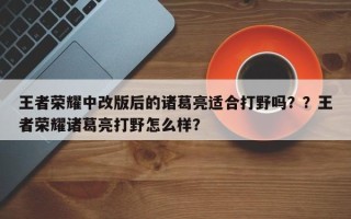 王者荣耀中改版后的诸葛亮适合打野吗？？王者荣耀诸葛亮打野怎么样？