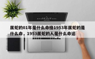 属蛇的01年是什么命格1953年属蛇的是什么命，1953属蛇的人是什么命运