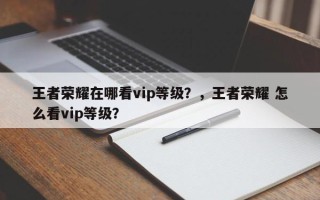 王者荣耀在哪看vip等级？，王者荣耀 怎么看vip等级？