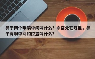 鼻子两个眼睛中间叫什么？命宫处在哪里，鼻子两眼中间的位置叫什么？