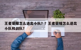 王者荣耀怎么退出小队？？王者荣耀怎么退出小队和战队？
