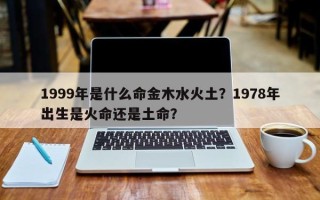 1999年是什么命金木水火土？1978年出生是火命还是土命？