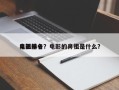 电影前十
鼻祖排名？电影的鼻祖是什么？