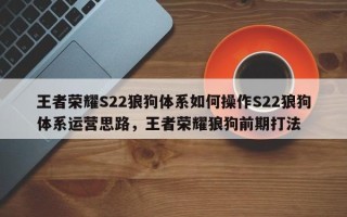 王者荣耀S22狼狗体系如何操作S22狼狗体系运营思路，王者荣耀狼狗前期打法