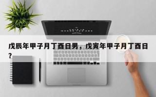 戊辰年甲子月丁酉日男，戊寅年甲子月丁酉日？