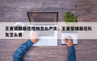 王者荣耀最佳搭档怎么产生，王者荣耀最佳队友怎么看