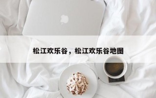 松江欢乐谷，松江欢乐谷地图
